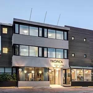 Tropica (adults Only) *** San Juan